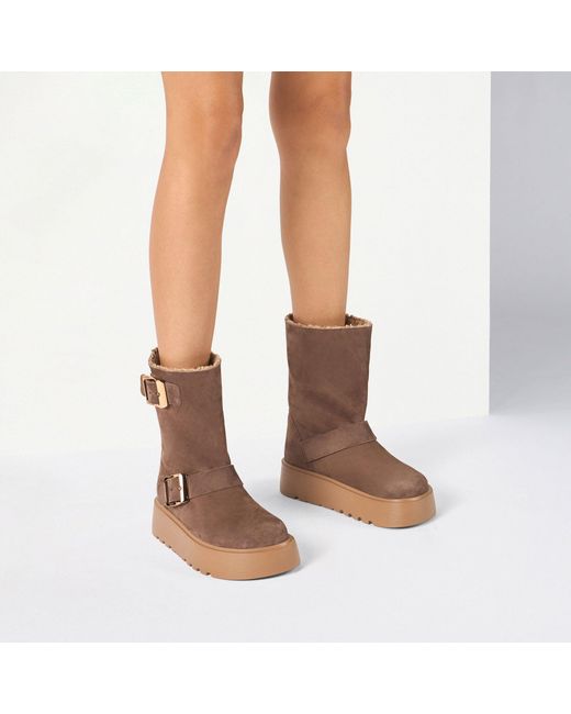 Casadei Brown 40Mm Alpsenales Boots