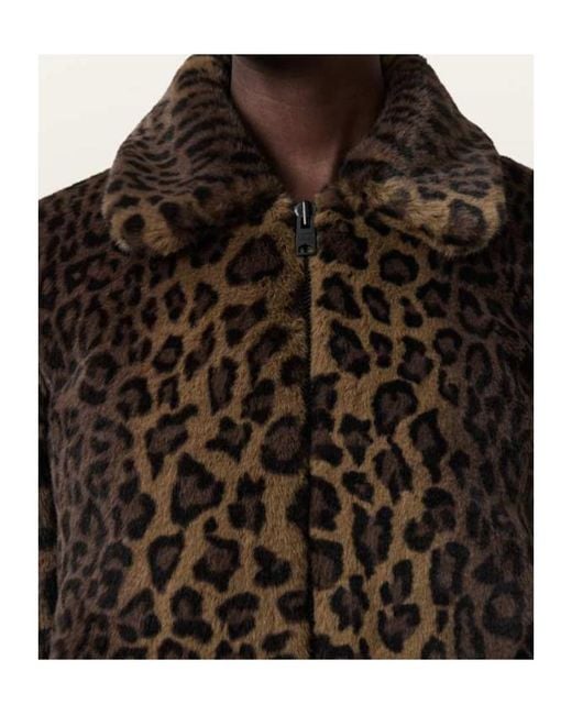 AllSaints Brown Saye Leopard-Print Collared Jacket