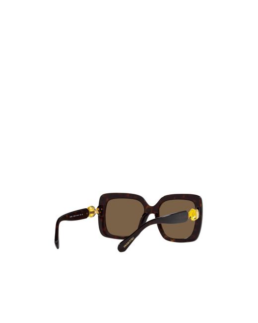 Swarovski Multicolor Square Frame Sunglasses