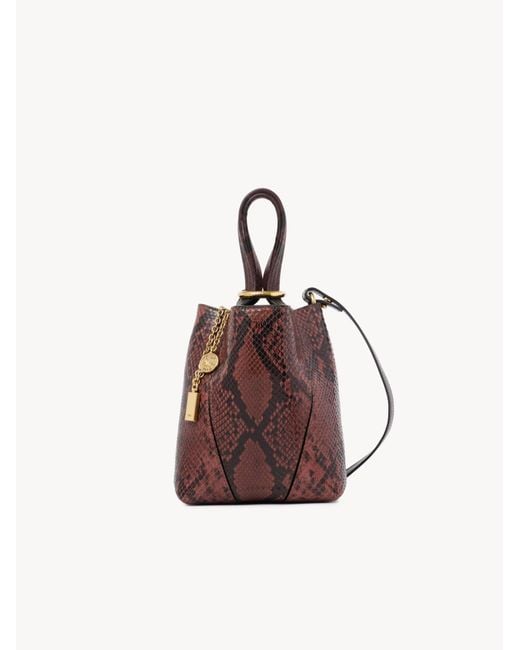 Chloé Brown Chloé Small Spin Tote Bag