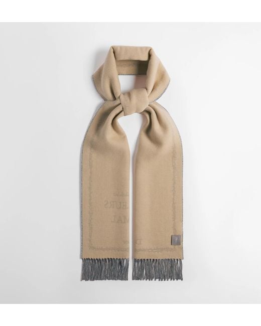 Dior Blue Scarf for men