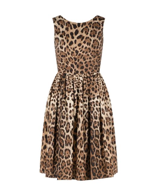 Dolce & Gabbana Natural Leopard Printed Midi Dress