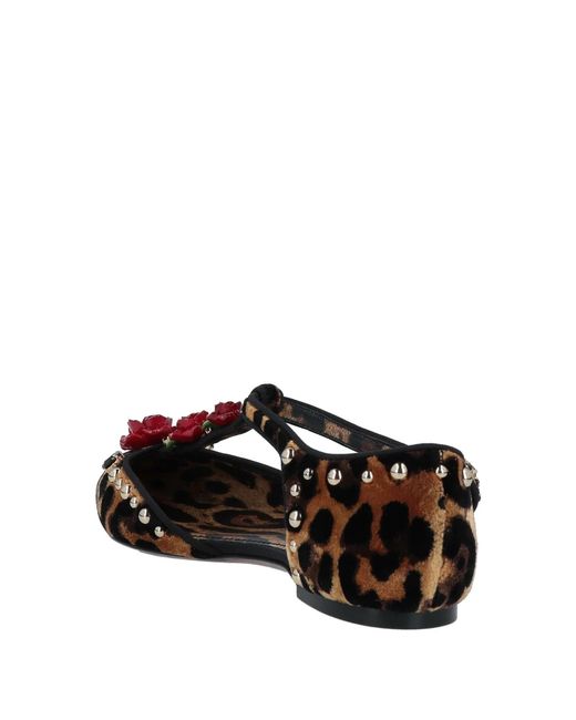 Dolce & Gabbana Brown Floral Ballet Shoes