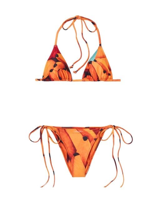 Donde Esteban Orange Bananas Printed Bikini