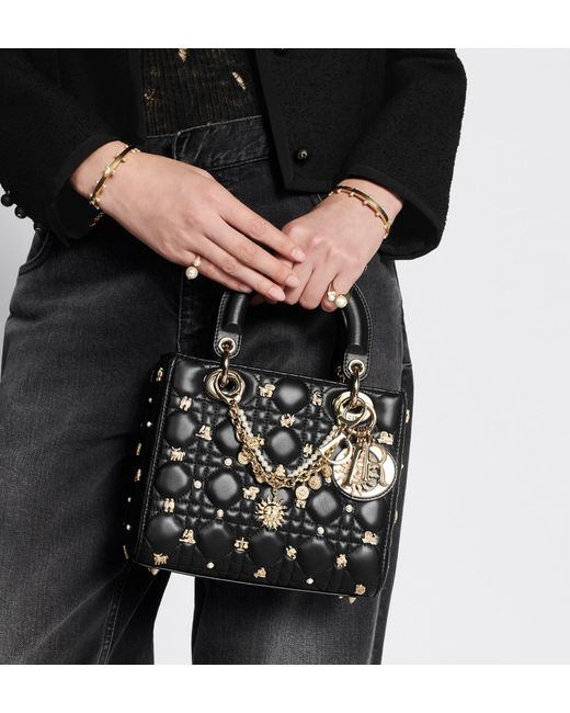 Dior Metallic Toile De Jouy Soleil Bag Jewelry