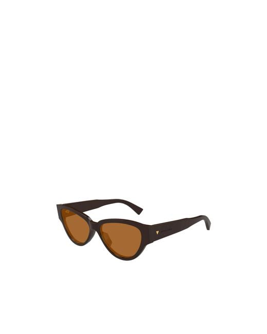 Bottega Veneta Brown Eyewear Cat Eye Frame Sunglasses