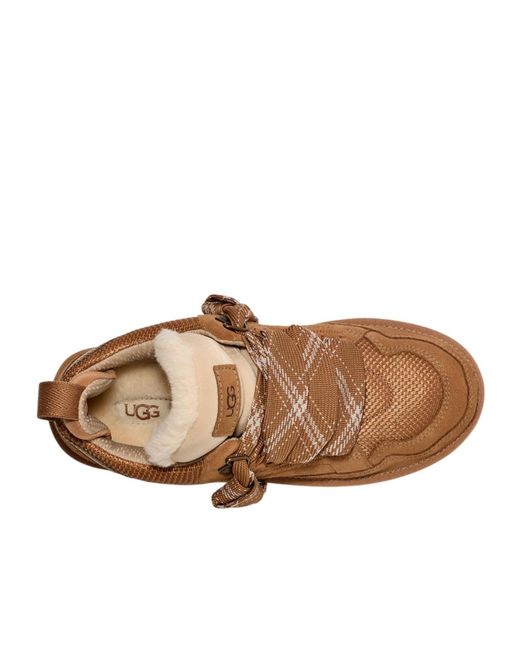 Ugg Brown Lowmel Sneaker