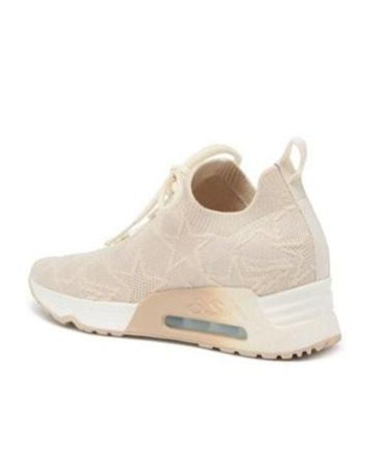 Ash Natural Laced Sneakers