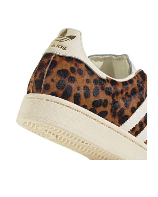 Adidas Originals Brown Superstar Ii Shoes