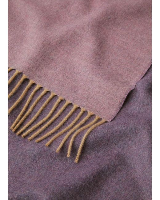 Loro Piana Purple Two Tone Stole