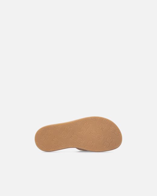 Pinko Brown Fiona 03 Logo Appliqué Slippers