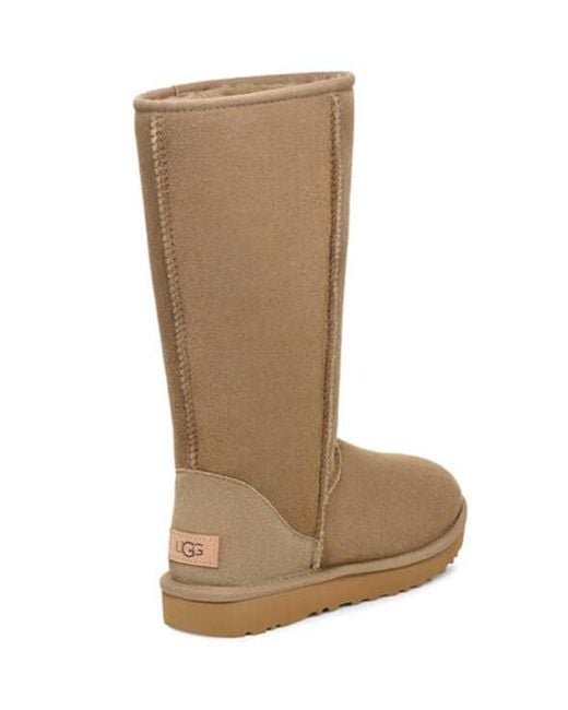 Ugg Brown Ugg Classic Tall Ii Boots Antilope
