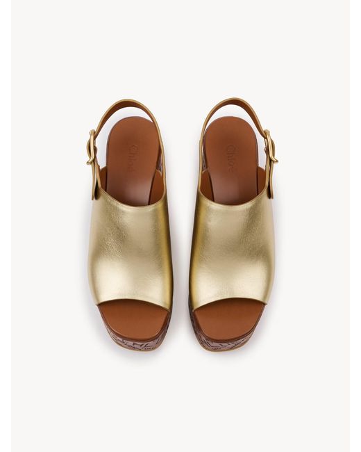Chloé Brown Chloé Maxime Platform Heeled Sandals