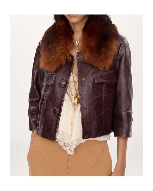 Chloé Brown Cropped Jacket