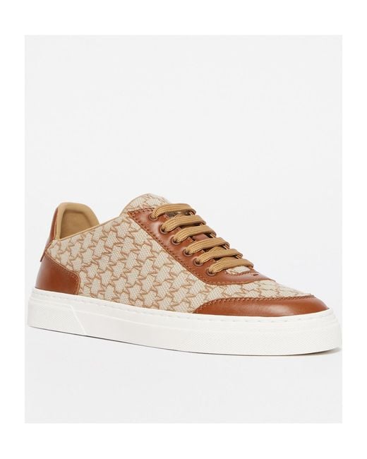 Max Mara Brown Jacquard-Knit Monogram Sneakers