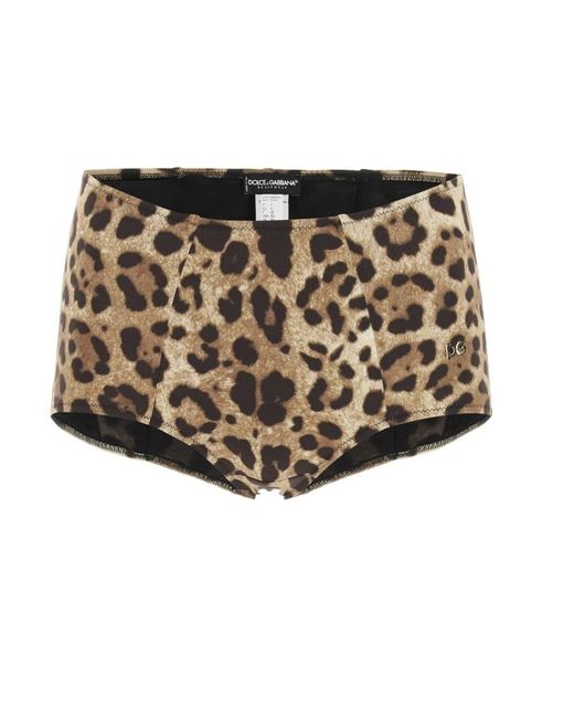 Dolce & Gabbana Multicolor Leopard-Print Bikini Bottoms