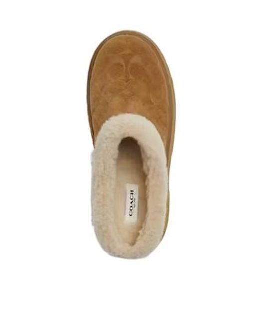 COACH Brown Logo Signature Cecelia Clogs