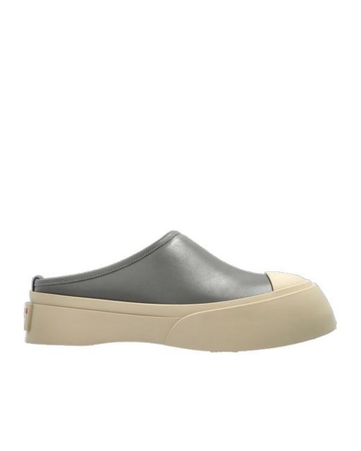 Marni Gray Pablo Sabot