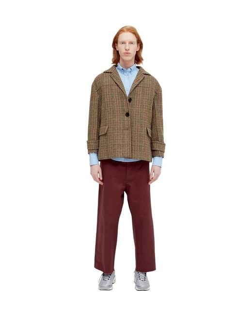 we11done Brown Thousand Bird Suit Jacket for men