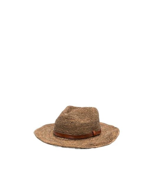 IBELIV Brown Ento Wide-Brim Hat