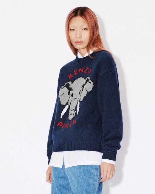 KENZO Blue Elephant' Wool Jumper