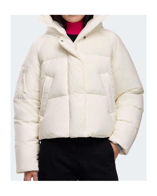 Canada Goose White Chilliwack Puffer Jacket