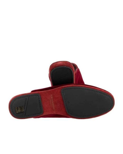 Dolce & Gabbana Brown Logo Embroidered Velvet Slides for men