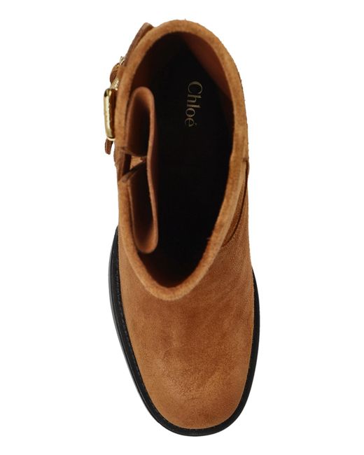 Chloé Brown Chloé Dakota Buckled Ankle Boots