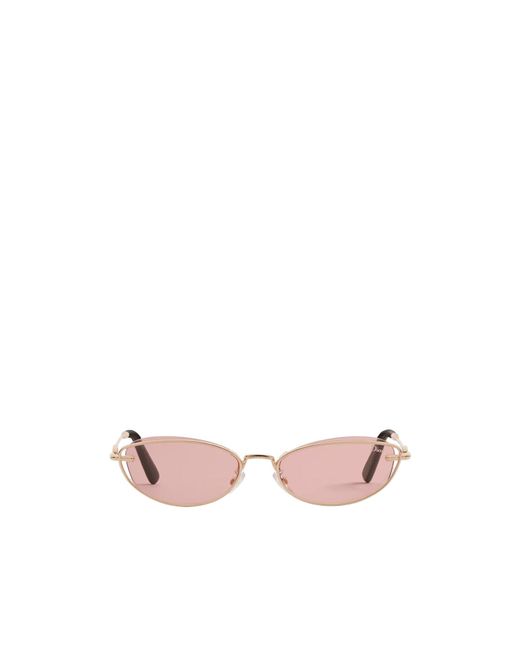 Dior Pink Petit Cd B1U