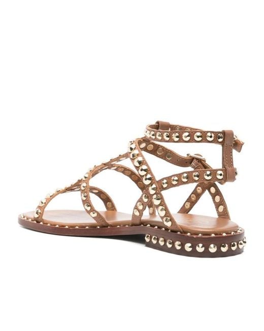 Ash Brown Studded Flat Sandals