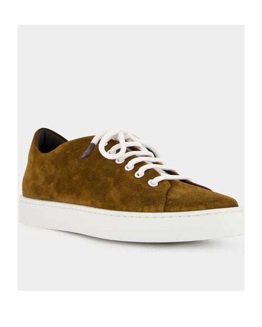Manolo Blahnik Brown Lace-Up Low-Cut Casual Shoes for men