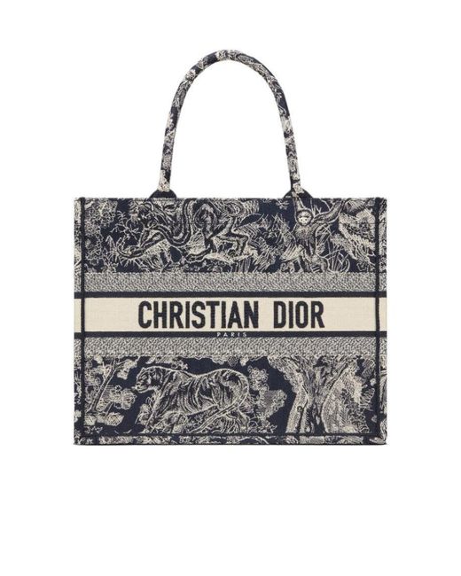 Dior Multicolor Medium Book Tote