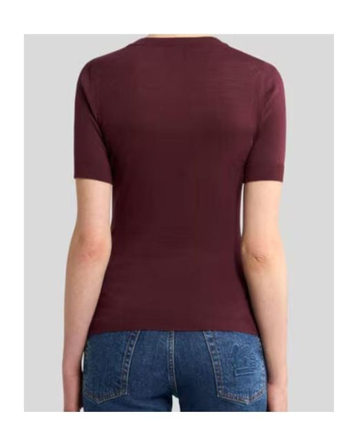 Etro Red Floral Jacquard Crewneck Top