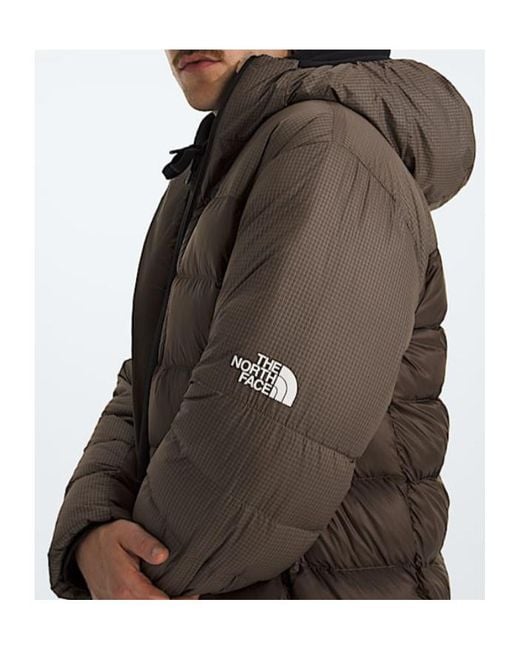 The North Face Brown Tnf Hke Kalix Down Hooded Jacket for men