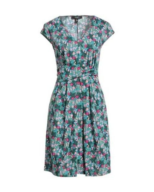 Weekend by Maxmara Blue Printed Pleated Dress