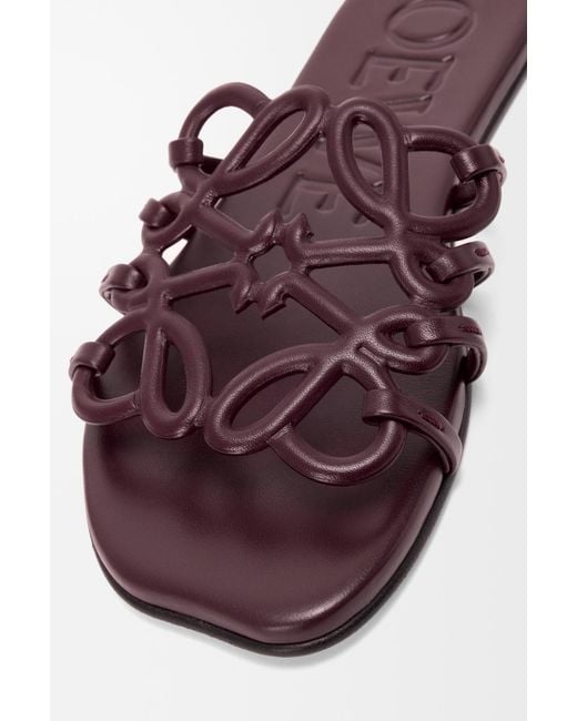Loewe Purple Petal Anagram Slides