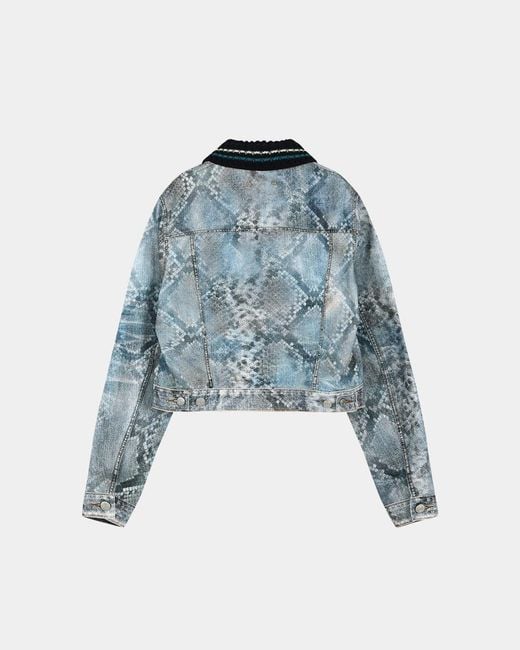 ANDERSSON BELL Blue Python Gradient Print Denim Jacket