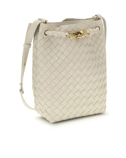 Bottega Veneta Natural Andiamo Small Bucket