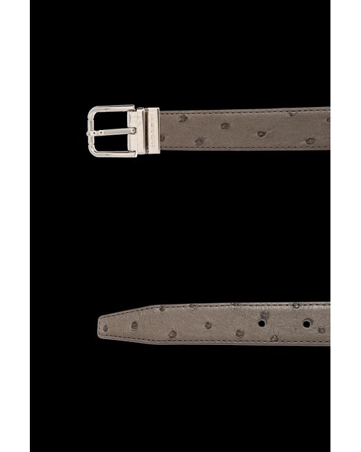 Dolce & Gabbana White Patterned Buckle Belt