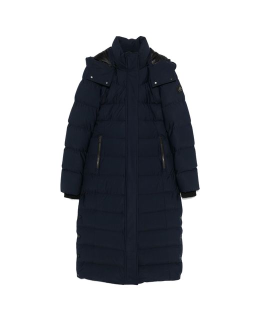 Moose Knuckles Blue Jocada Parka