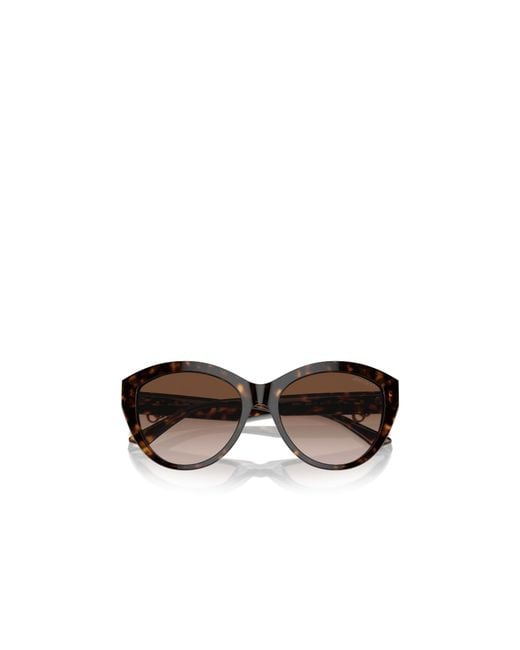 Jimmy Choo Multicolor Eyewear Cat-Eye Frame Sunglasses