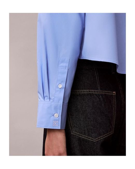 Calvin Klein Blue Cropped Button-Up Shirt