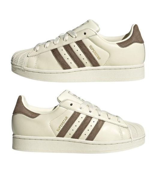 Adidas Originals Natural Superstar Ii Striped Sneakers
