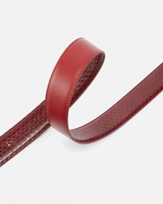 Pinko Multicolor Galleria 3-Cm Belt