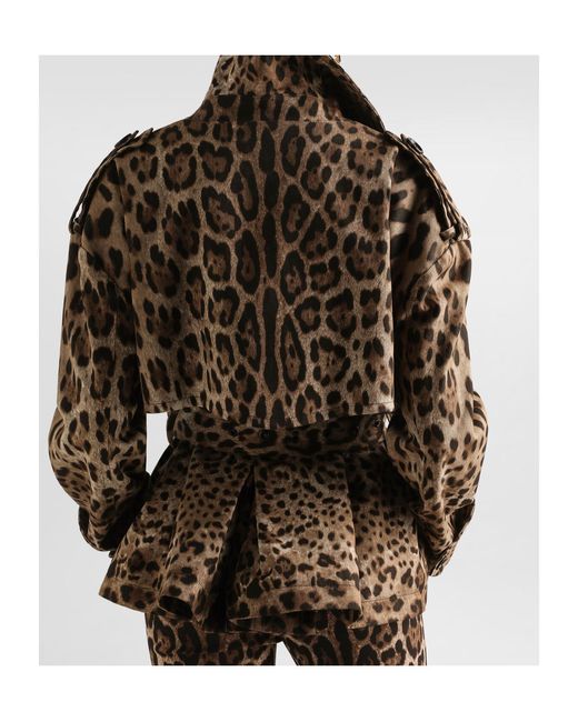Dolce & Gabbana Brown Leopard Printed Trench Coat