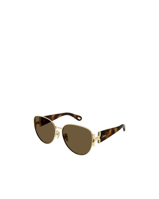 Chloé Multicolor Chloé Eyewear Cat-Eye Frame Sunglasses