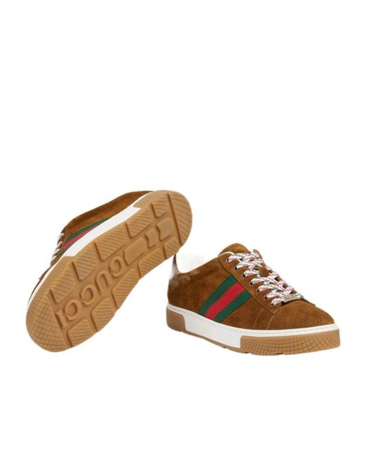 Gucci Brown Ace Sneaker With Web, Suede for men