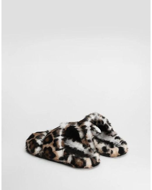 Dolce & Gabbana Brown Leopard Printed Slides