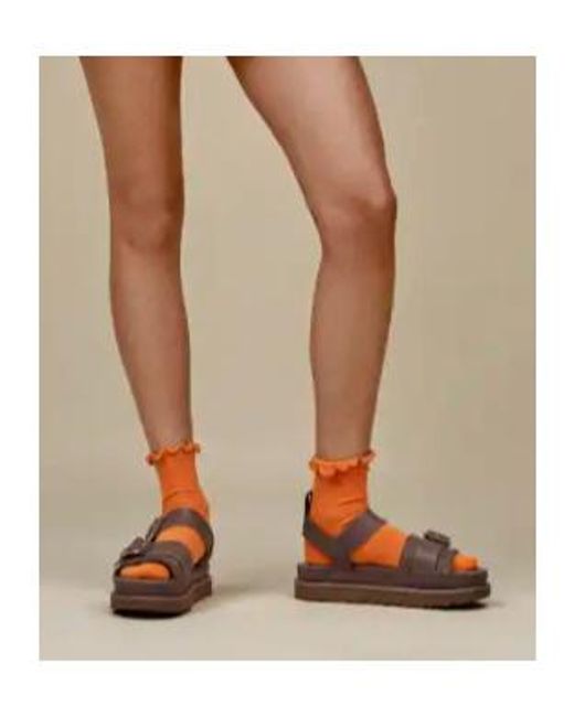 Ugg Brown Goldenstar Villa Sandal