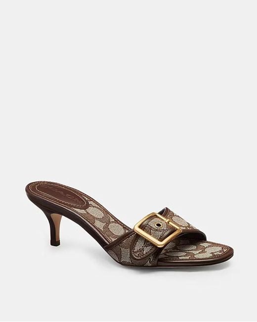 COACH Brown 55Mm Margot Buckle Heeled Sandals